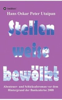 bokomslag Stellenweise bewölkt: Abenteuer- und Schicksalsroman vor dem Hintergrund der Bankenkrise 2008