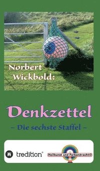 bokomslag Norbert Wickbold Denkzettel 6: Die sechste Staffel