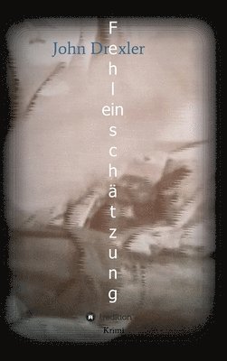 bokomslag Fehleinschätzung