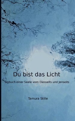 bokomslag Du bist das Licht: Tagebuch einer Seele vom Diesseits und Jenseits