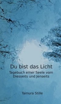 bokomslag Du bist das Licht: Tagebuch einer Seele vom Diesseits und Jenseits