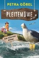 Pleitemöwe 1