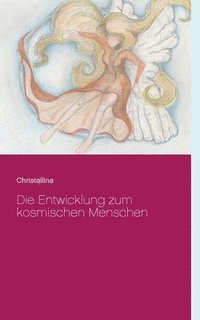 bokomslag Entwicklung zum kosmischen Menschen