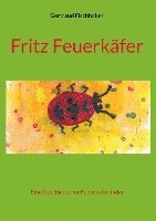 bokomslag Fritz Feuerkäfer