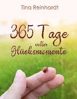 bokomslag 365 Tage voller Glücksmomente