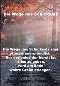 bokomslag Wege des Schicksals