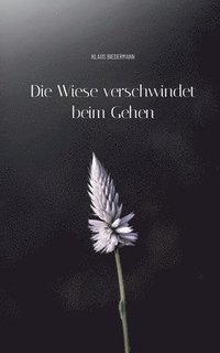 bokomslag Wiese verschwindet beim Gehen