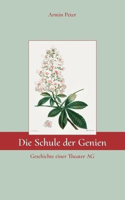 Schule der Genien 1