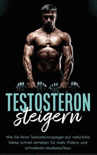 bokomslag Testosteron steigern