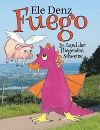 bokomslag Fuego