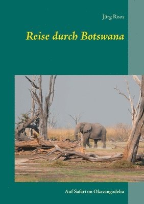 Reise durch Botswana 1