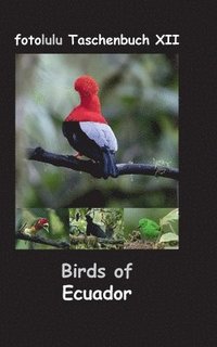bokomslag Birds of Ecuador