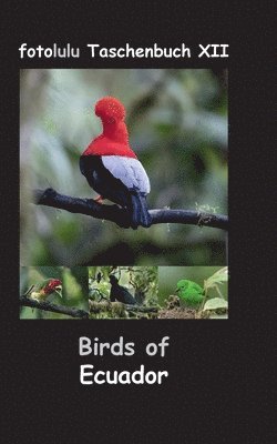 Birds of Ecuador 1