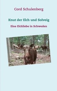 bokomslag Knut der Elch und Solveig