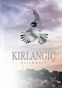 bokomslag Kirlangic