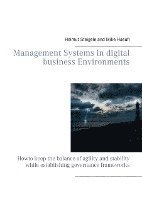 bokomslag Management Systems in digital business Environments