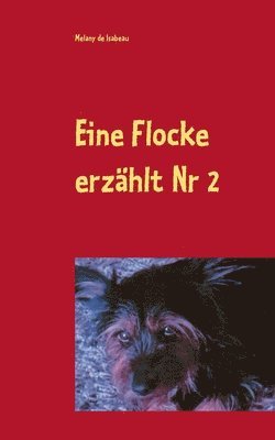 bokomslag Eine Flocke erzhlt