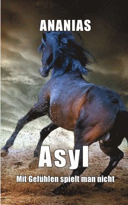 Ananias, Lars Röper, Ananias - Asyl, Häftad