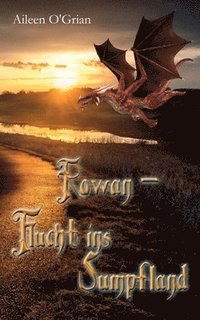 bokomslag Rowan - Flucht ins Sumpfland