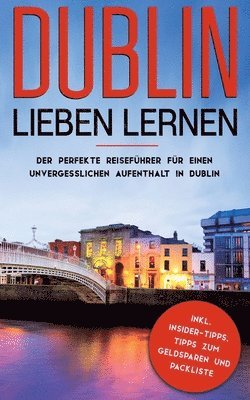 bokomslag Dublin lieben lernen