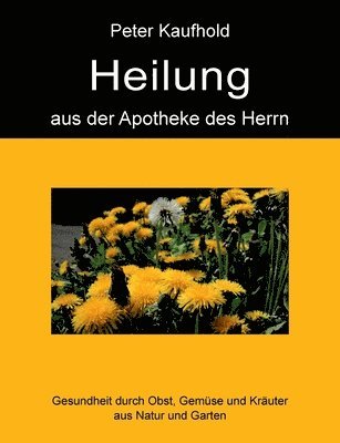 bokomslag Heilung aus der Apotheke des Herrn - Band 2