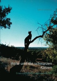 bokomslag Anne und die schwarzen Katzen