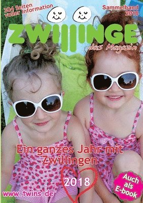 bokomslag Zwillinge - das Magazin