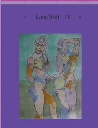 bokomslag Little Wolf IV
