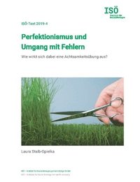 bokomslag Perfektionismus und Umgang mit Fehlern