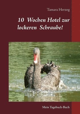 bokomslag 10 Wochen Hotel zur lockeren Schraube