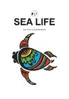 bokomslag EyeVisto: Sealife