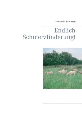 Stefan Schramm - Endlich Schmerzlinderung!, Häftad