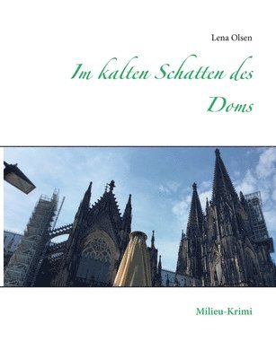 bokomslag Im kalten Schatten des Doms