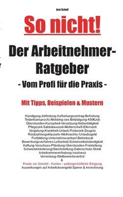 bokomslag Der Arbeitnehmer-Ratgeber