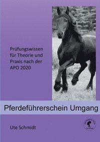 bokomslag Pferdeführerschein Umgang