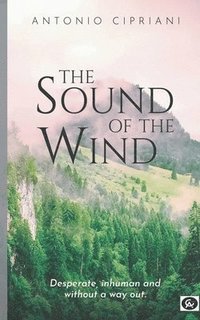 bokomslag Sound of the Wind