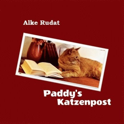 Paddy's Katzenpost 1