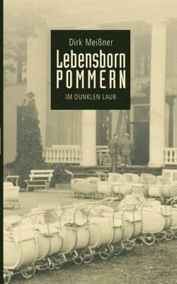 Dirk Meißner - Lebensborn Pommern, Häftad