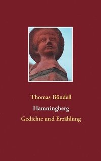 bokomslag Hamningberg