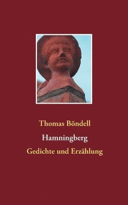 bokomslag Hamningberg