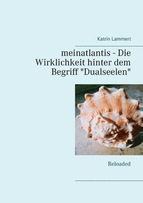 Katrin Lammert - meinatlantis - Die Wirklichkeit hinter dem Begriff "Dualseelen", Häftad