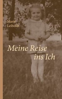 bokomslag Meine Reise ins Ich