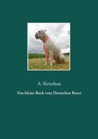 bokomslag Das kleine Buch vom Deutschen Boxer