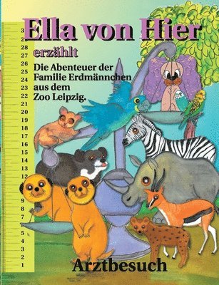Petra Schmidt - Ella von Hier erzählt, Häftad