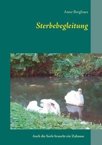 bokomslag Sterbebegleitung