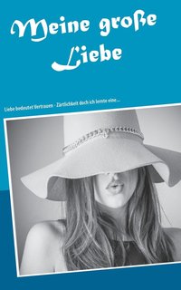 bokomslag Meine große Liebe