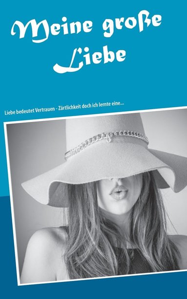 bokomslag Meine große Liebe