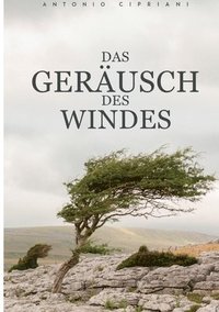 bokomslag Das Gerusch des Windes