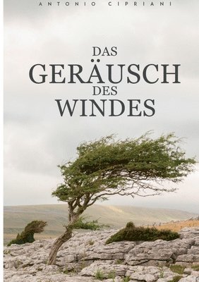 bokomslag Geräusch des Windes