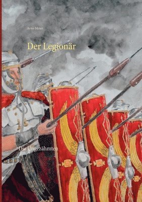 Arno Meier - Legionär, Häftad